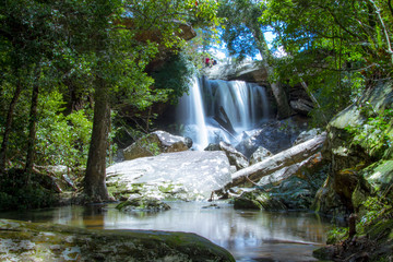 waterfall in forest