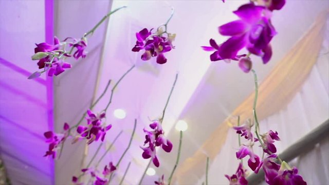 Ceiling hanging rose petals with blinking lights d&eacute;cor, bottom-up circular slow motion shot, wedding in India.