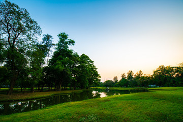 Park pond sunset clorful sky silhouette tree forest