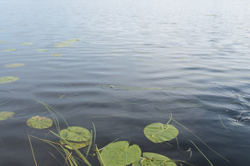 Water environment nature blue pure water