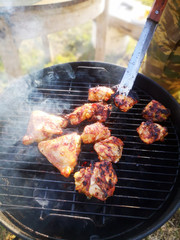 On the grill are roast pieces of meat, smoke is coming and red coals are visible