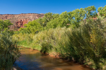 Landscape of Jemez River and trees near Jemez Springs New Mexico