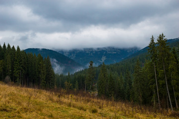 Fototapeta na wymiar Autumn landscape background in the rain weather with fog