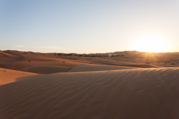 Fototapeta na wymiar Sunrise in the desert oasis