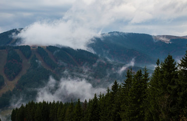 Autumn landscape background in the rain weather with fog