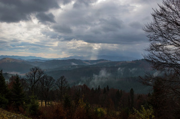 Autumn landscape background in the rain weather with fog