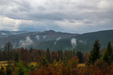 Autumn landscape background in the rain weather with fog