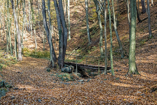 Hiking path in autumn deciduous forest, Reviste, Slovakia