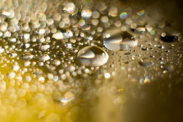 Biodiesel, bubbles biofuel, vegetable oil, yellow and orange emulsion bubbles background