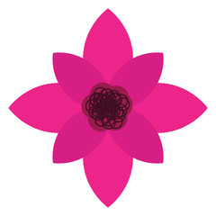 Isolated flower image on a white background - Vector illustration