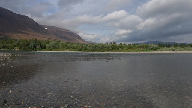 On the river Sob, cloudy August day. Polar Urals, Russia