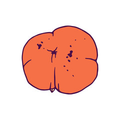 Persimmon illustration. Ripe and sweet Malabar Ebony or Diospyros Malabarica fruit. Hand drawn sketch. Colored artwork. Isolated on white background