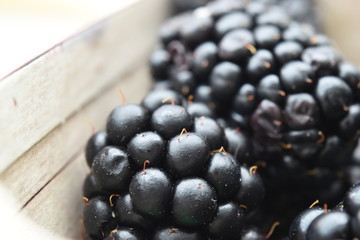 blackberries