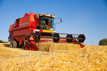 Moissonneuse dans les champs de blé en été, France.