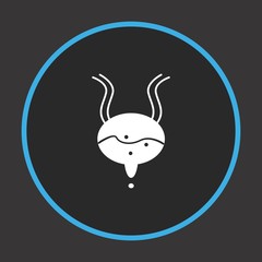 Obraz premium Bladder icon for your project