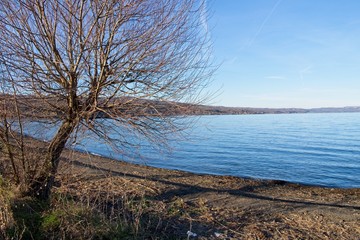 landscape and view of Lake Bolsena, province of Viterbo, Lazio, Italy