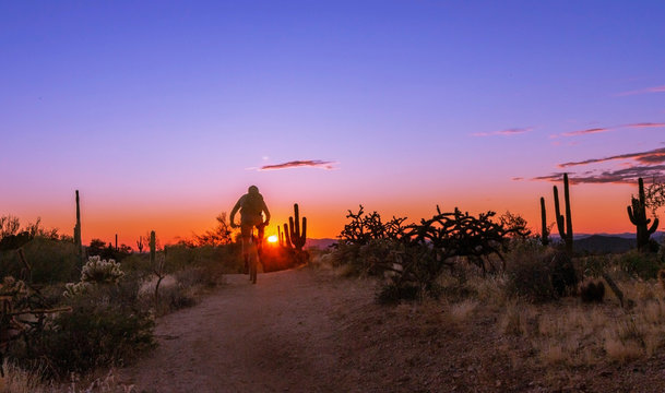 Mountain Biker Riding Desert Trail In Scottsdale, AZ Near Sunset