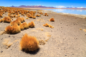 Landscape of the majestic Andes mountain range in Bolivia, South America