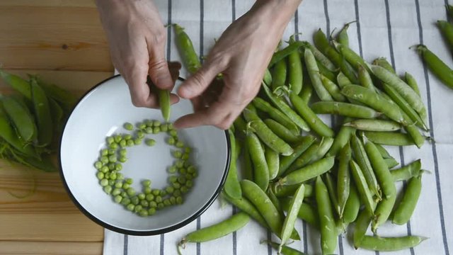 mans hand takes green pea bean from stack, opens and shows fresh ripe pease seeds, puts peas into metal bowl pod husk on wooden table, top view of closeup full hd stock video footage in real time