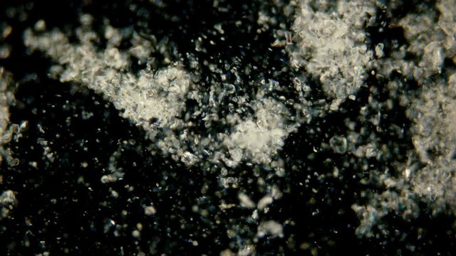 the motion of scorbutus crystals under a microscope, an alcoholic solution of ascorbic acid, the chaotic movement of crystals is visible, the very formula C6H8O6