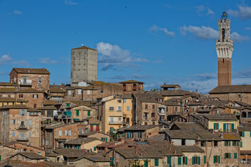 Obraz premium Old houses in historic centre in Siena. View of the roofs in historic centre and Torre del Mangia, tower of Palazzo Pubblico in Siena, Tuscany, Italy