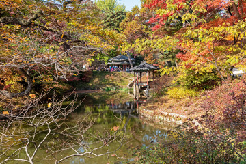 Autumn foliage in Changdeokgung palace garden, Seoul South Korea.