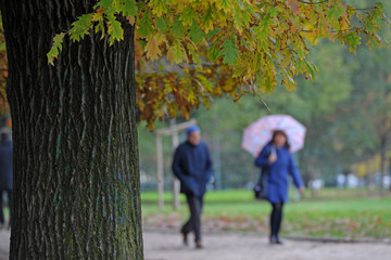 Fototapeta premium Autunno al parco , due persone camminano con l'ombrello in una giornata di pioggia