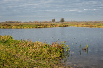 Backwaters of the river Bug near Kuligow, Masovia, Poland
