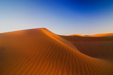 Obraz na płótnie Canvas sand dunes in desert