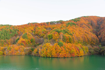 秋のもみじ湖