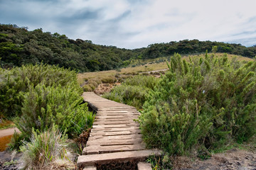 Walking Trail, Horton Plains National Park, Sri Lanka