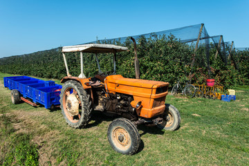 Tractor in apple farm. Tractor and trailer with crates for apples.