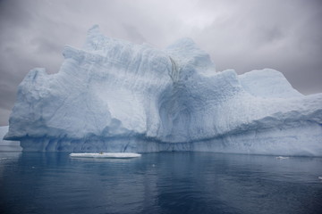 Naklejka na ściany i meble Crcrabeater seal on an icefloe in front of an iceberg in Antarctica