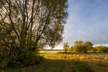Narwiański Park Narodowy, Rzeka Narew, Podlasie, Polska © podlaski49