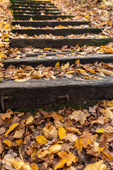schody jesień zbocze jar spacer - obrazy, fototapety, plakaty