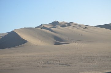 Fototapeta na wymiar Dunes 