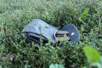 An old leather wallet with copper coins lies in the grass. The concept of lost money.