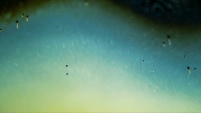 Unusual bubble foam cell like structure with grunge background, flowing and swirling around, microscopic detailed view