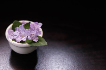 Obraz na płótnie Canvas flower in a bowl