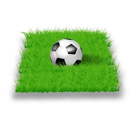 Soccer ball on grass in 3D.