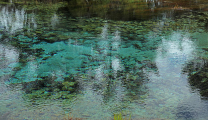 Pupu Springs te waikoropupu in Neuseeland