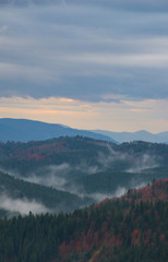 Naklejka premium Autumn landscape background in the rain weather with fog