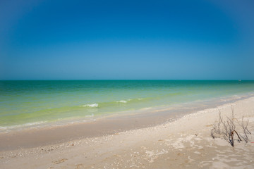 Fototapeta na wymiar Blue lagoon , Celestun bosphere Reserve beach , Yucatan, Mexico