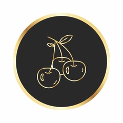 Cherries icon for your project