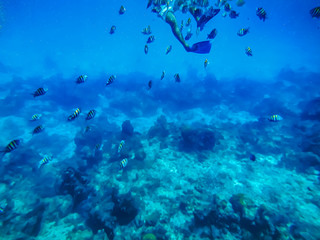 SNORKELING IN MEXICO