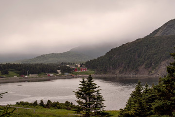 Newfoundland Coast