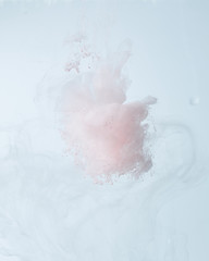 Fototapeta premium Colors dropped into liquid and photographed while in motion. .