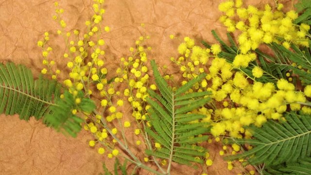 Beautiful floral yellow and green top view flatlay video background.