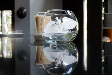 Fototapeta na wymiar White​ flower​ in​ glass of water on black background