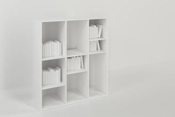 Fototapeta premium Bookshelf with books inside in the empty new house, 3d rendering.